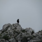 piatra mare_iunie 2010 016