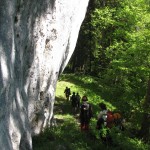piatra mare_iunie 2010 043