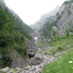 valea alba 007