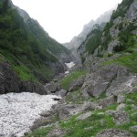 valea alba 008