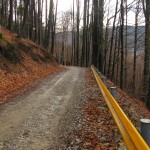 IMG_9342