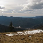 IMG_9382