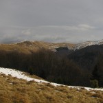 IMG_9383