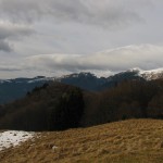 IMG_9385