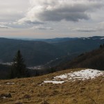 IMG_9386