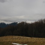 IMG_9390