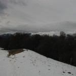 IMG_9395