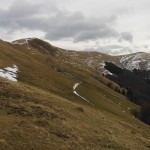IMG_9396