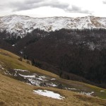 IMG_9403