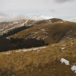 IMG_9425