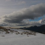 IMG_9429