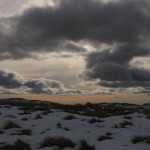 IMG_9431