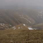 IMG_9440